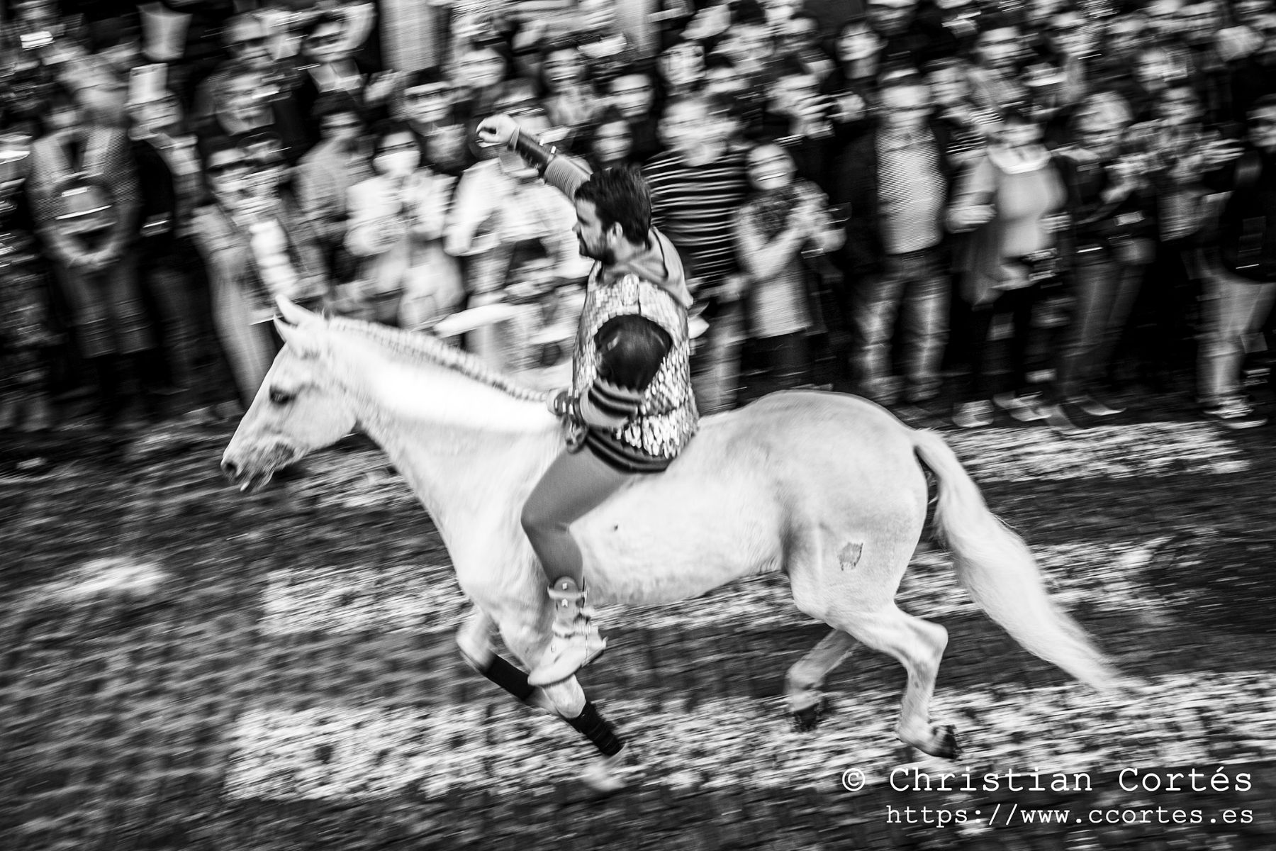 20220424 Trons (30) BN